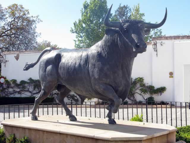 Bull Ring Ronda. Bull Stature