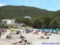 Cala Llonga Bay is virtually surrounded by pine forests