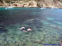 Snorkeling in the crystal clear sea