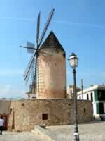 Windmill Palma