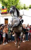 Es Castell horse & rider