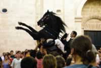 Es Castell rearing  horse